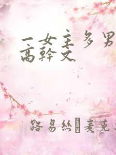 一女主多男主的高干文