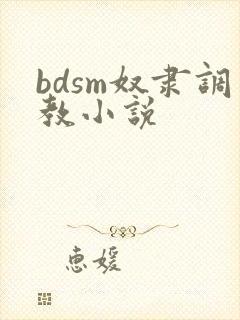 bdsm奴隶调教小说