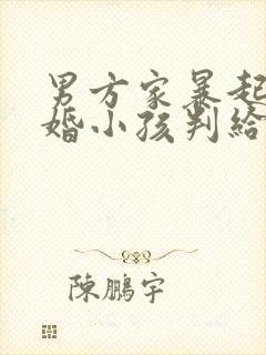 男方家暴起诉离婚小孩判给谁