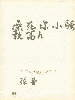 操死你小骚货调教高h