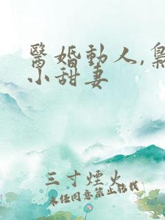 医婚动人,枭宠小甜妻