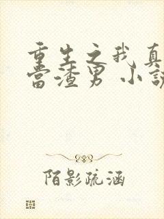 重生之我真没想当渣男 小说