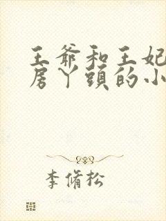王爷和王妃和通房丫头的小说
