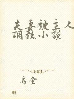 夫妻被主人一起调教小说