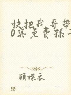 快把我哥带走30集免费孙千