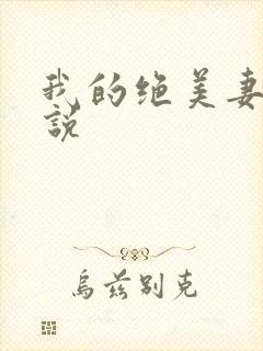 我的绝美妻子小说