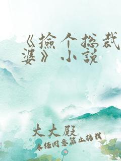 《捡个总裁做老婆》小说