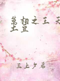 万相之王 天蚕土豆