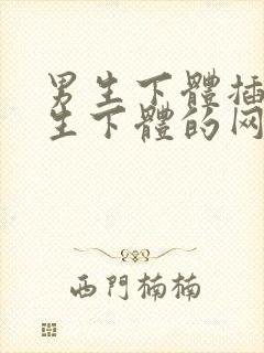 男生下体插入女生下体的网站