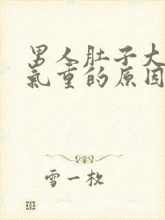 男人肚子大是湿气重的原因吗