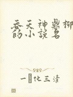 吞天神鼎柳无邪的小说名