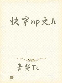 快穿np文h