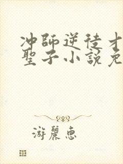 冲师逆徒才不是圣子小说免费观看