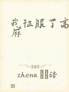 我征服了高官麻麻