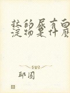 拉的尿有白色沉淀物是什么原因