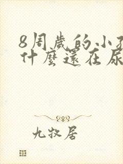 8周岁的小孩为什么还在尿床