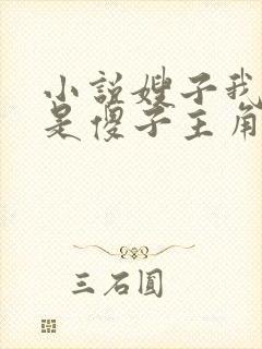 小说嫂子我真不是傻子主角叶凡结局