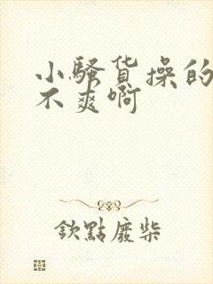 小骚货操的你爽不爽啊