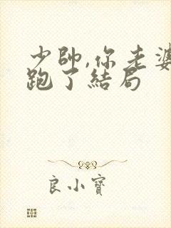 少帅,你老婆又跑了结局