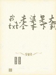 我老婆是大明星txt全本下载