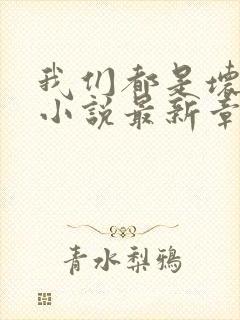 我们都是坏孩子小说最新章节阅读