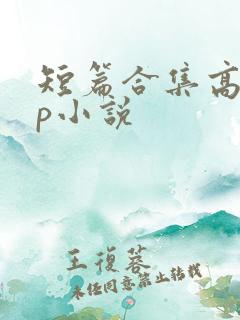 短篇合集高hnp小说