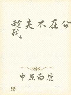 趁夫不在公公迫我