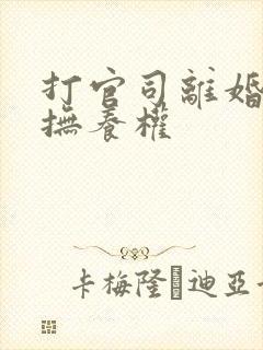 打官司离婚争夺抚养权