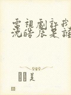 电视剧许我耀眼沈皓辰是谁的儿子