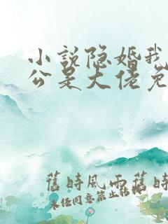 小说隐婚我的老公是大佬免费阅读