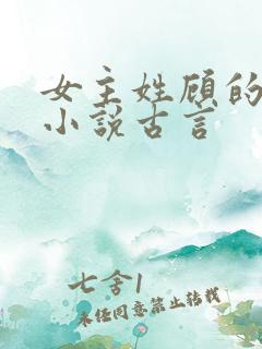 女主姓顾的重生小说古言