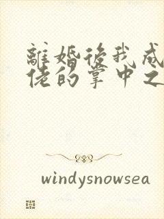 离婚后我成了大佬的掌中之物短剧