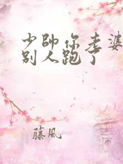 少帅你老婆又跟别人跑了