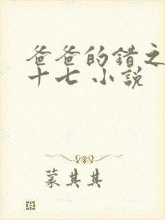 爸爸的错之女儿十七 小说