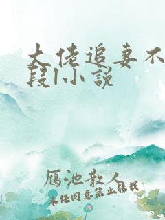 大佬追妻不择手段l小说