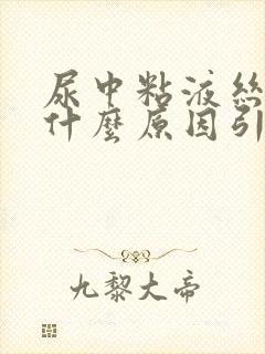 尿中粘液丝高是什么原因引起的