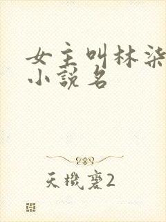 女主叫林柒染的小说名