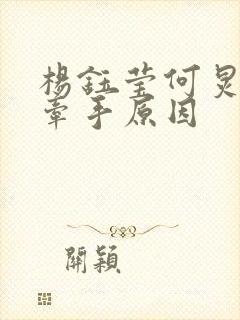 杨钰莹何炅街头牵手原因