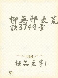 柳无邪太荒吞天诀3749章