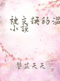 被交换的温柔 小说