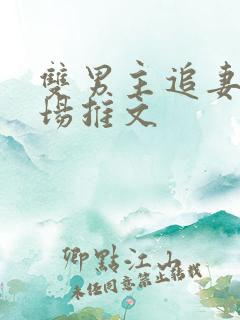 双男主追妻火葬场推文