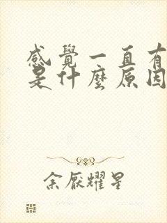 感觉一直有尿意是什么原因