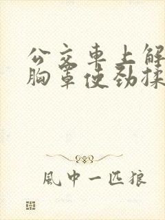 公交车上解开她胸罩使劲揉她奶小说