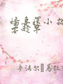 娇妻还小 总裁要趁早