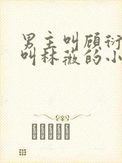 男主叫顾衍女主叫林薇的小说