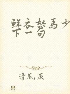 鲜衣怒马少年郎下一句