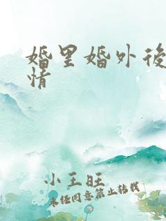 婚里婚外后续剧情