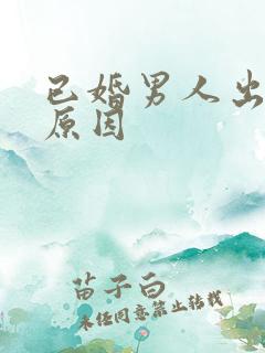 已婚男人出轨的原因