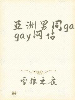 亚洲男同gay gay网站