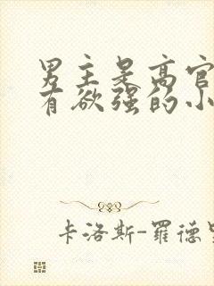 男主是高官且占有欲强的小说